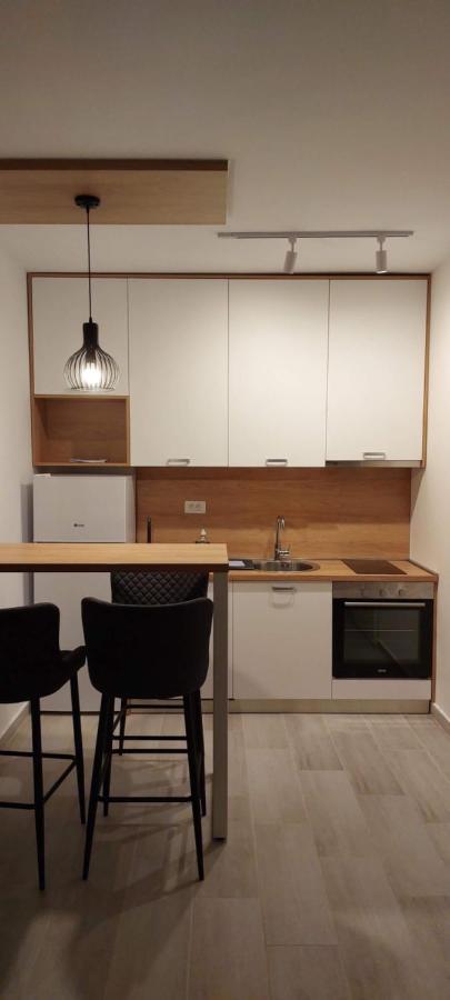 Biser Apartmani Podgoriţa Exterior foto
